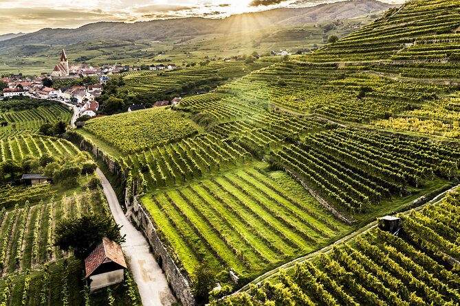 3 Castles & Wine Private Tour in Wachau Valley (incl. Melk Abbey) - What the $416.50 price really buys