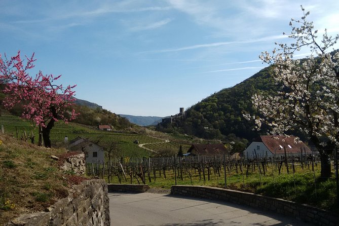 3-Hour Private Hiking Tour to historic places around Spitz in Wachau Valley - Meeting at Vienna Central Station at 8:00 a.m.