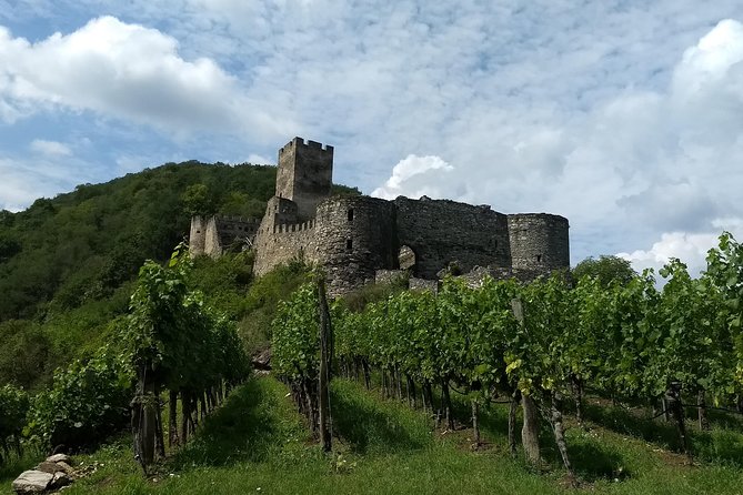 3-Hour Private Hiking Tour to historic places around Spitz in Wachau Valley - The circular walk through vineyards and fruit trees
