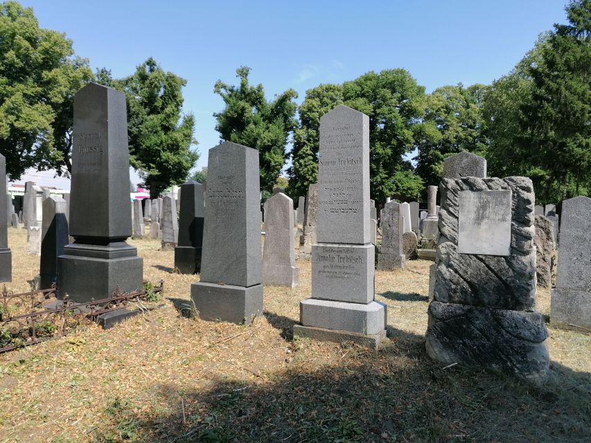 3-Hour Walking Tour of Vienna Central Cemetery - Karl Lueger Memorial Church and Viennese Art Nouveau