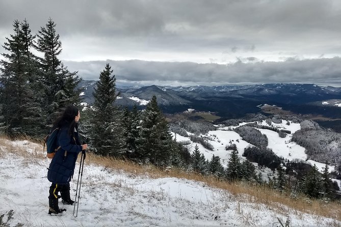 4-Hour Private Alpine Great George at High Wall Mountain from Vienna - Key points to know before you go