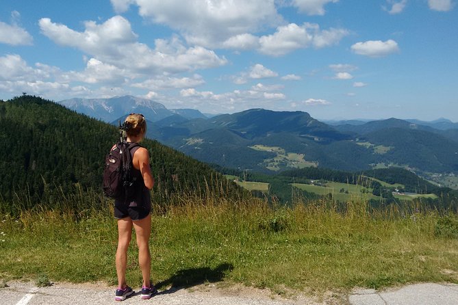 4-Hour Private Alpine Great George at High Wall Mountain from Vienna - The quieter rear wall of Hohe Wand