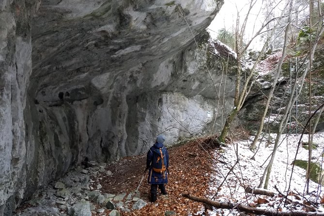 4-Hour Private Alpine Great George at High Wall Mountain from Vienna - A private guide makes a real difference