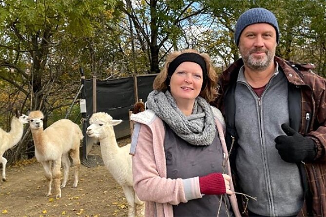 Alpaca and llama hike Moedling near Vienna - Walking toward Eichkogel