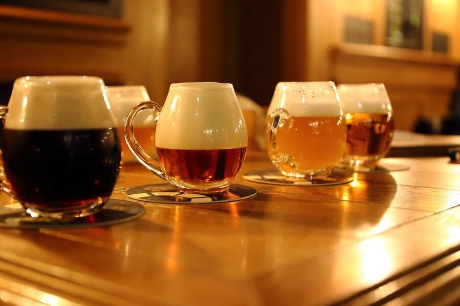 Austrian Beer Tasting and Self-Guided Tour of Vienna - Pairing Beer With Austrian Snacks