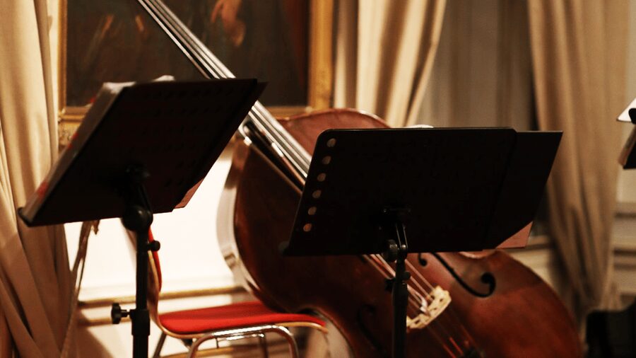 Best of Mozart & Strauss - What you hear from Mozart