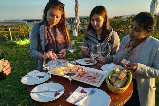Countryside Half Day Wine Tour near Vienna - The Third Winery and the Longer Dinner Program