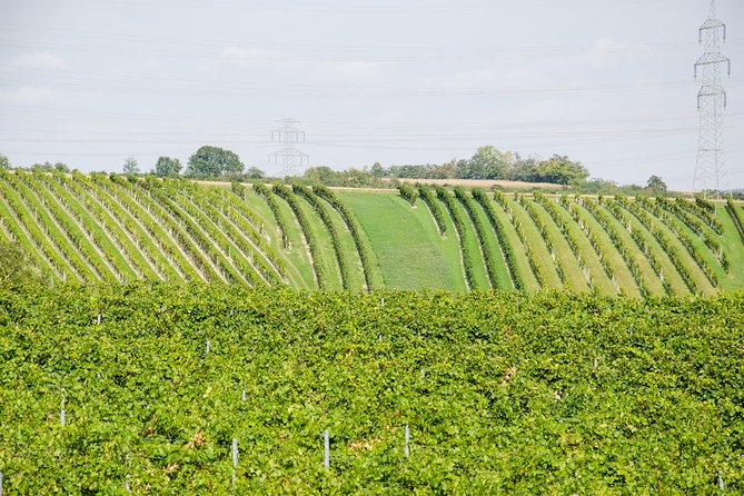 Countryside Half Day Wine Tour near Vienna - Guides Make a Real Difference