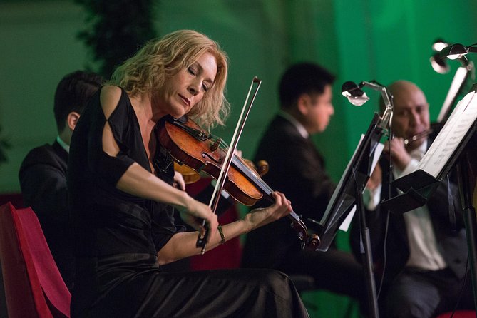 Exclusive Evening at Schönbrunn Palace: After-Hours Audiotour, Dinner, Concert - The Orangery concert and its Mozart and Strauss program