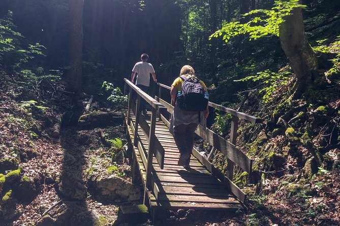 Exploring the Gutenstein Alps - Pastures, country roads, and the return loop