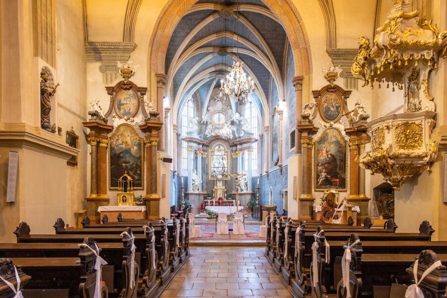 From Vienna: Bratislava Day Trip - Two hours through the historic center