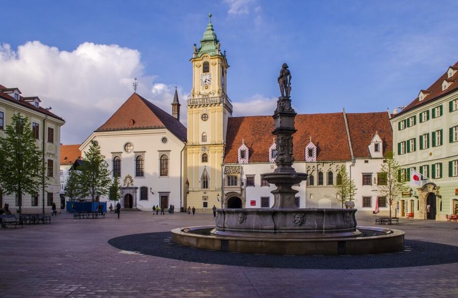 From Vienna: Bratislava Half-Day Trip - The guide can shape the whole day