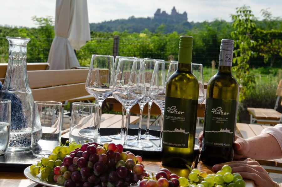 From Vienna: Half-day Countryside Wine Tour with Meal - Choosing between two and three wineries