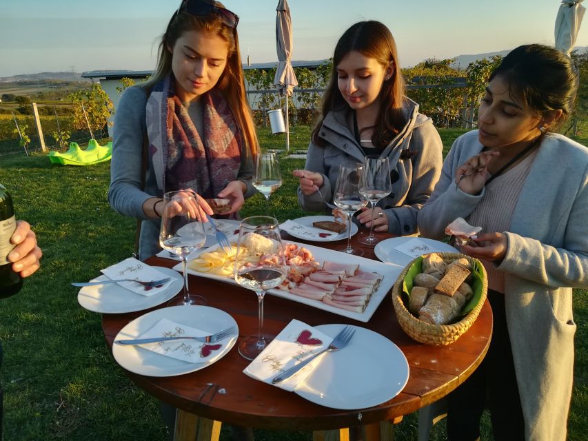 From Vienna: Half-day Countryside Wine Tour with Meal - Who should book this Weinviertel outing?