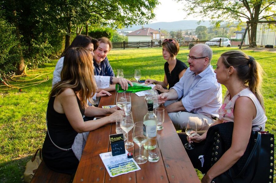 From Vienna: Half-day Countryside Wine Tour with Meal - Should you book this Vienna wine tour?