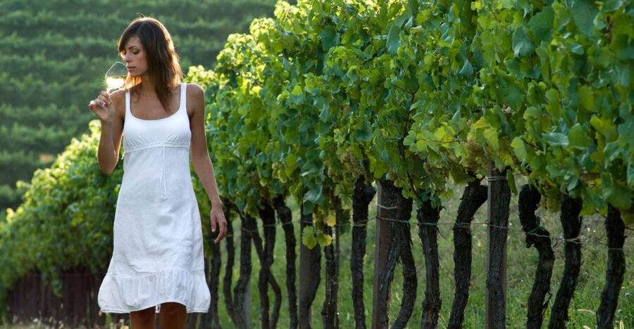 From Vienna: Half-day Countryside Wine Tour with Meal - What a small Austrian winery visit feels like