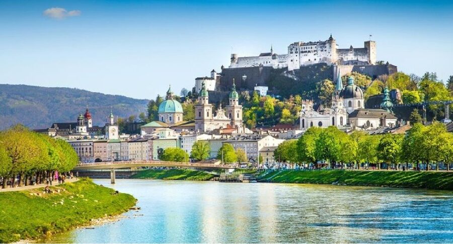 From Vienna: Melk, Salzburg, and Hallstatt Private Tour - The vehicle, driver, and pace