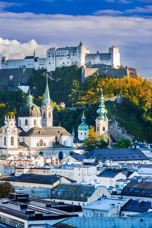 From Vienna: private day trip to Hallstatt and Salzburg - Weather, driving, and the practical risks