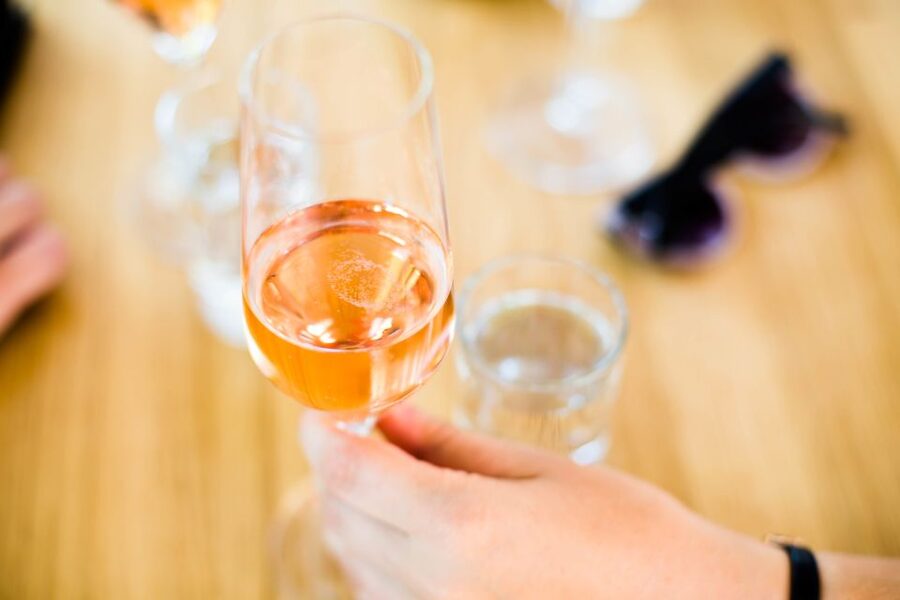 From Vienna: Wachau Valley Day Tour with Wine Tasting - Who should book this Wachau day trip?
