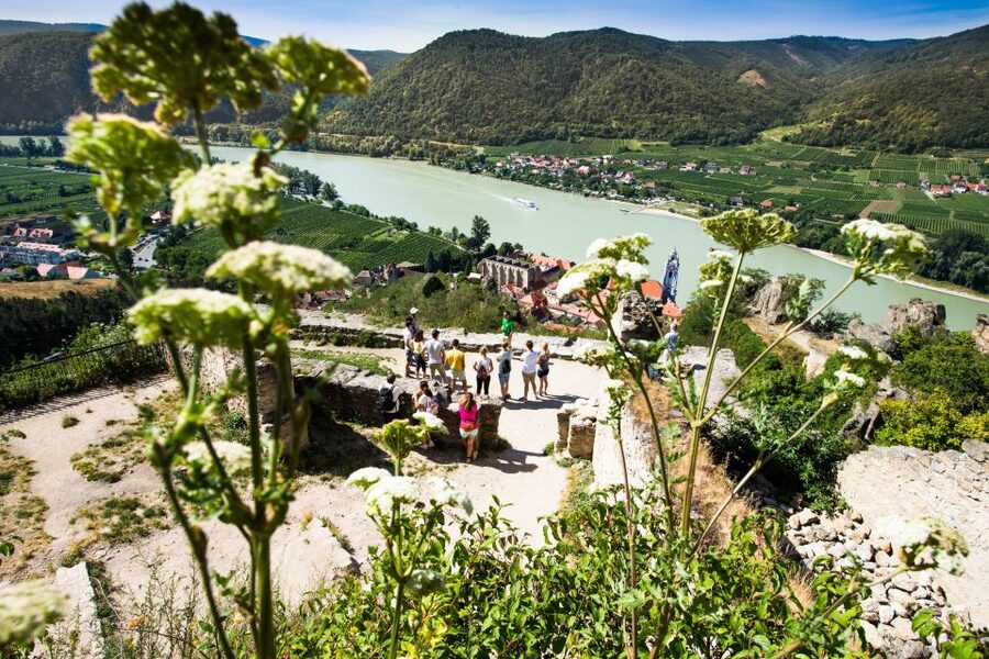 From Vienna: Wachau Valley Day Tour with Wine Tasting - Cruising from Spitz to Melk in summer