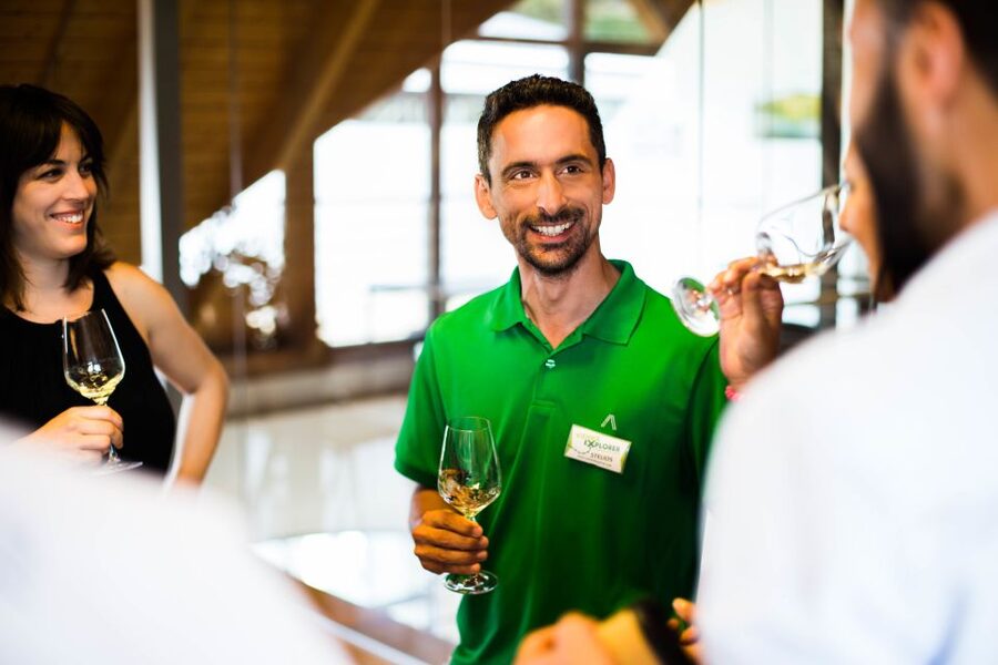 From Vienna: Wachau Valley Day Tour with Wine Tasting - Is $234 good value?