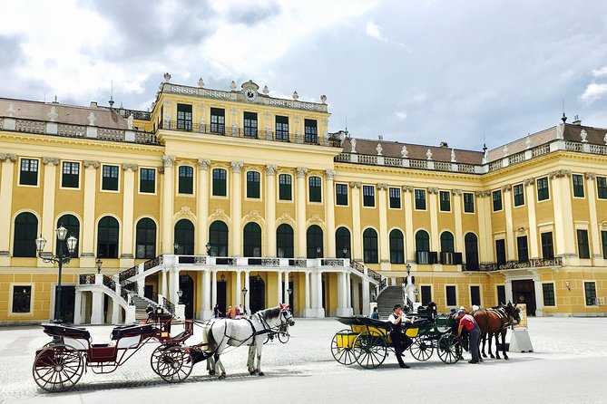 Grand Schoenbrunn Palace and Carriage Museum Tour Small Group - Roman Ruin, exotic plants, and the Orangery