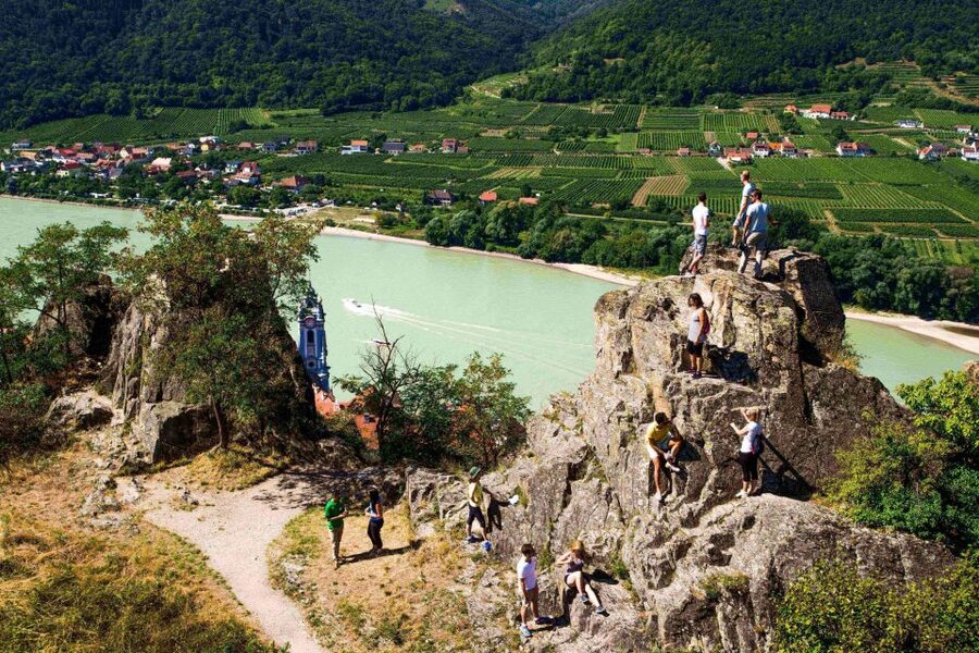 Grape Grazing: Wachau Valley Winery Biking Tour - What the $163 price includes