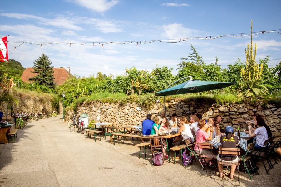 Grape Grazing: Wachau Valley Winery Biking Tour - Dürnstein, wine, and castle views