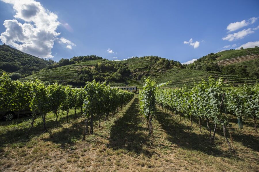 Grape Grazing: Wachau Valley Winery Biking Tour - The train from Vienna to Krems