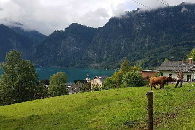 Hallstatt Small-Group Day Trip from Vienna - Mondsee and the Mozart connection