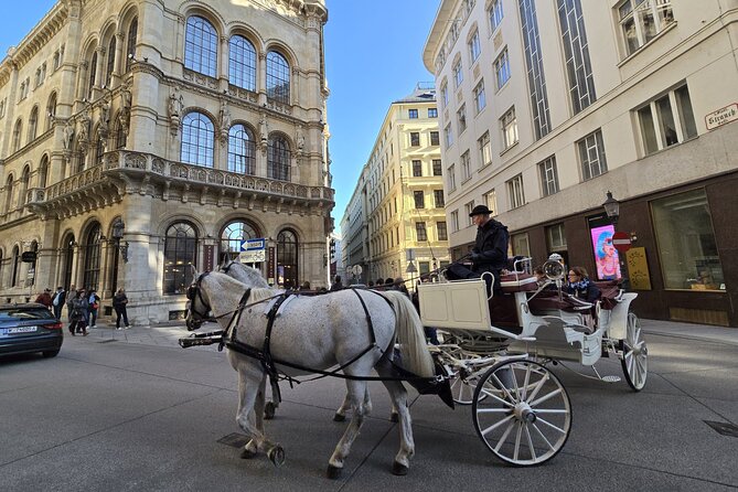 Highlights of Vienna in a Historical & Cultural 3h Walking Tour - Graben, plague history, and Vienna’s sweet tooth