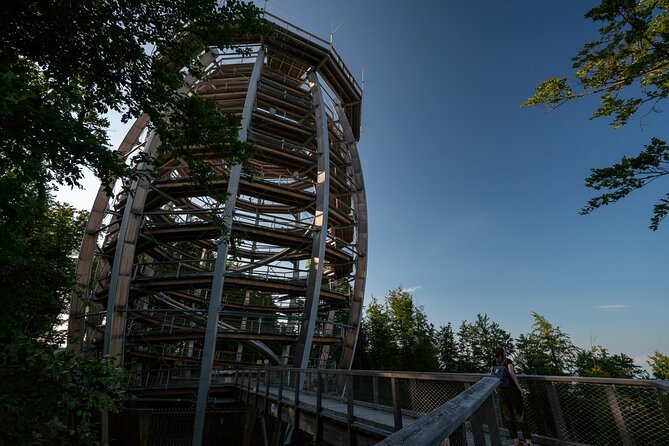 Immersive Private Tour: Hallstatt After the Crowds & Treetop Path - Leaving Vienna with a private crew