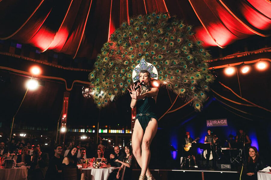 Mirage Vienna: Burlesque Spectacular – Dinner Show - Key details to know before booking