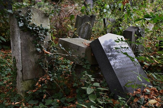 Mobile puzzle rally tour at the Vienna Central Cemetery - Why Vienna’s Central Cemetery Works as a Puzzle Route