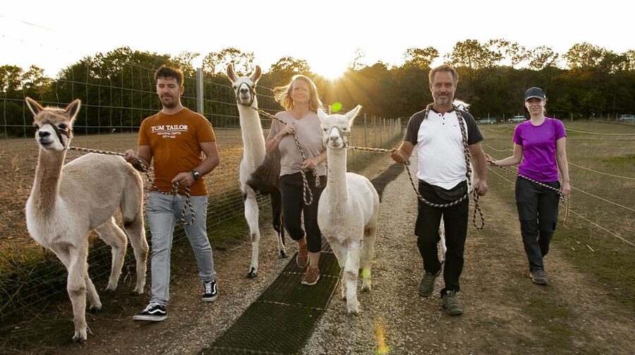 Mödling/Vienna: Scenic Guided Hike with Alpacas and Llamas - Why This Is More Than a Farm Photo Stop