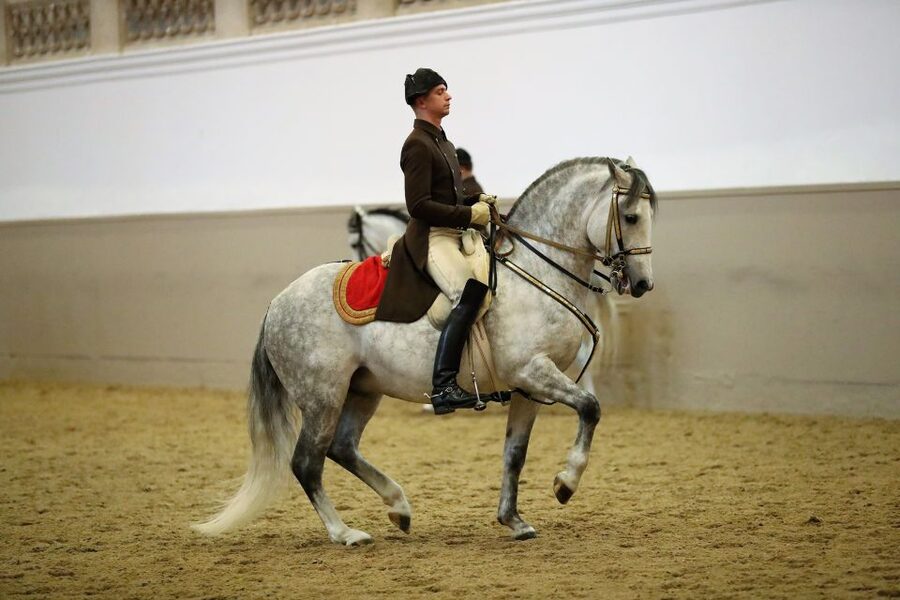 Performance Of The Lipizzans At Spanish Riding School - The Winter Riding School at Hofburg Palace