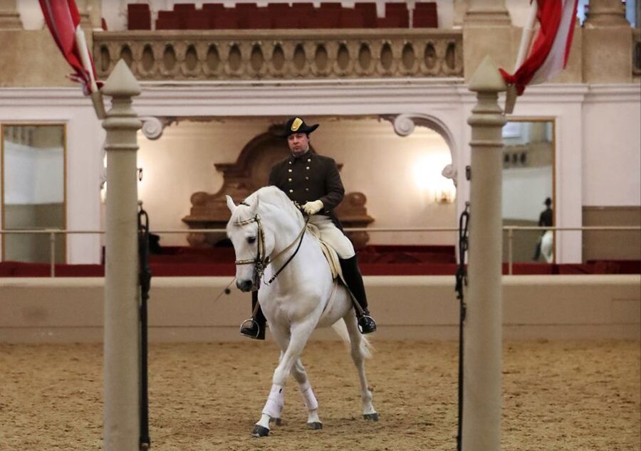 Performance Of The Lipizzans At Spanish Riding School - My practical booking advice