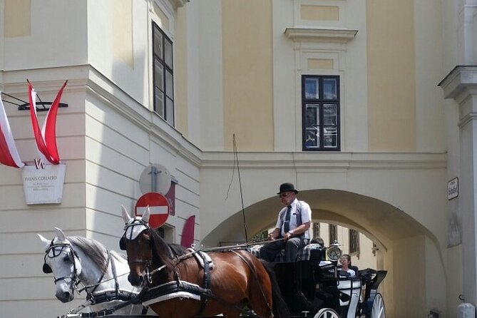 Private car or minivan transfer from Budapest to Vienna or back. - A private bridge between Budapest and Vienna