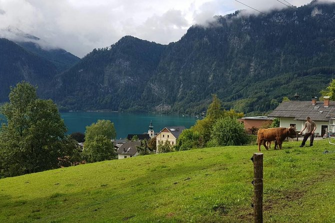 Private Day Trip from Vienna to Hallstatt - What the Private Format Adds