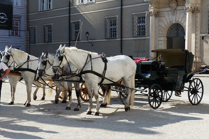 Private full day tour to Salzburg from Vienna with a local guide - St. Peter’s Abbey, the cemetery, and the cathedral