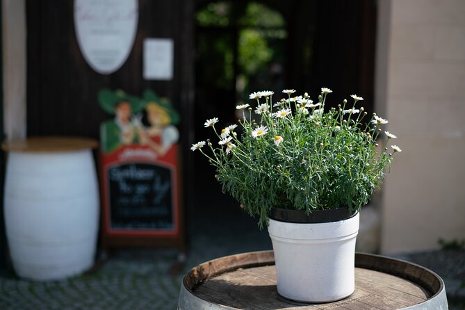 Private Guided Full Day Tour to charming Burgenland region with Wine tasting - Timing, comfort, and what to expect