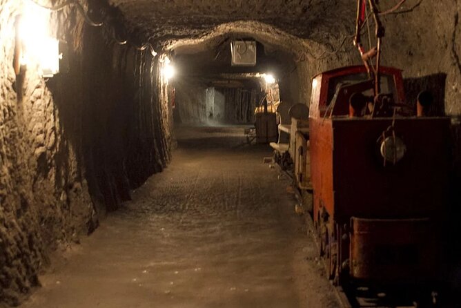 Private guided tour from Vienna to Hallstatt with Skywalk & Salt Mine Experience - Lunch with an Austrian view