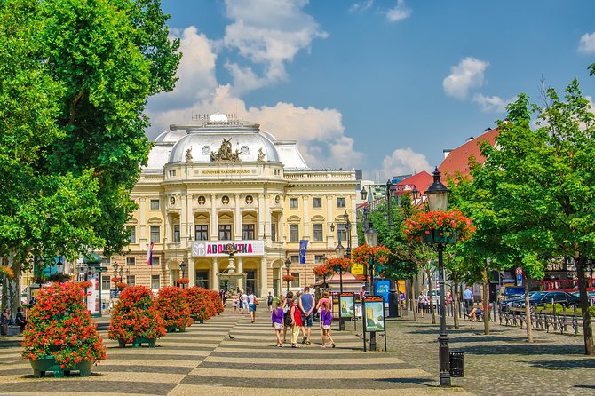 Private One Day Trip to Bratislava from Vienna - What the private guide adds