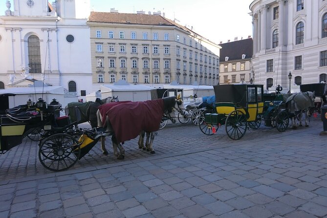 Private Transfer from Venice to Vienna or Vienna to Venice - The route is more interesting than a simple city transfer