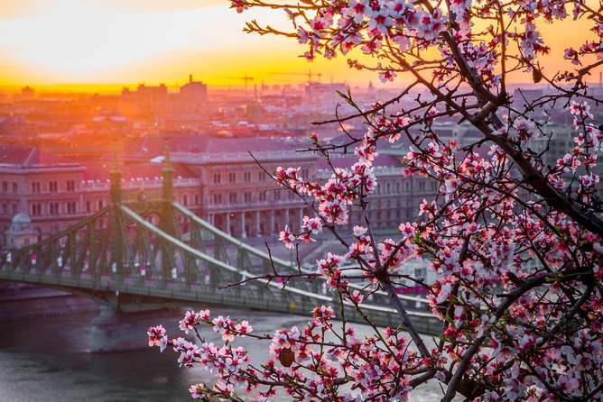 Private Transfer from Vienna to Budapest with 2 hours for sightseeing - Who should book this transfer?
