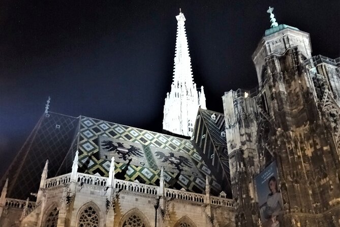 Private Vienna Evening Walk — Orientation for Your First Night - The Plague Column and the city’s memory