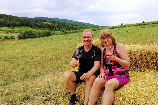 Private Vienna Woods Wine Tour - Tasting with a winemaker, not just a guide