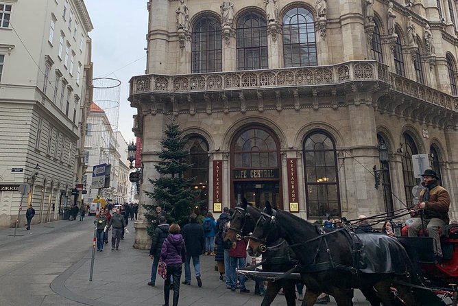 Private World War II Walking Tour in Vienna - Pace, meeting details, and practical comfort