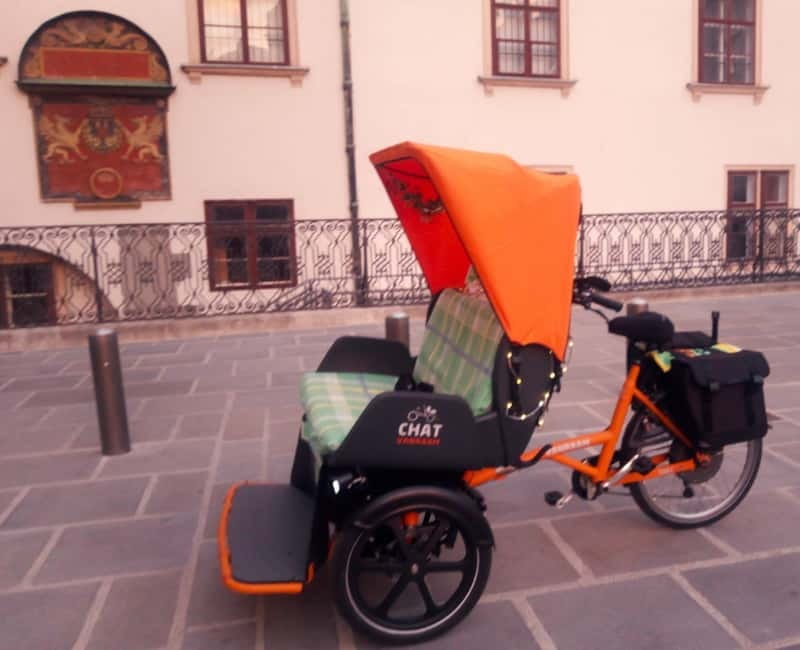RAXI (Electric Rickshaw) Vienna Tours with two options - Starting opposite the Albertina at Cafe Mozart
