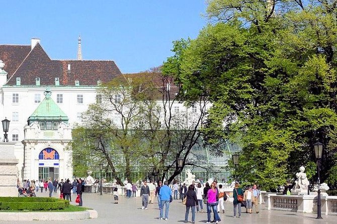 Schmetterlinghaus - Imperial Butterfly House Vienna Admission Ticket - Tickets, the online price, and the entrance desk